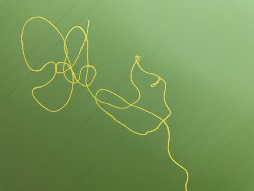 screen printing screen with image of thread