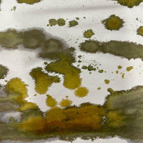 ferric chloride soaked new print