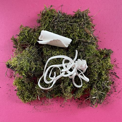 green moss, pink background polar ice clay