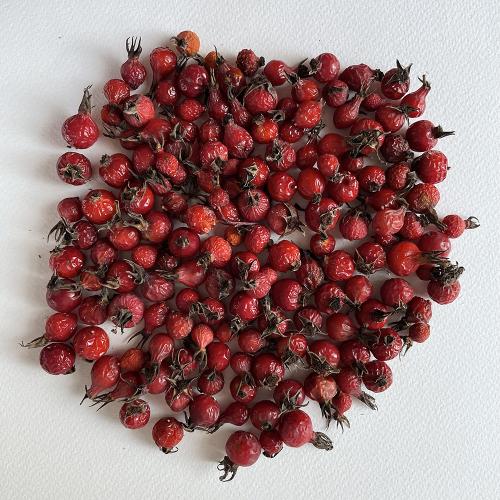 rose hips
